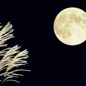 中秋の名月とは縁起が悪いのか?十五夜 十三夜 十日夜お月見三夜で幸運を!