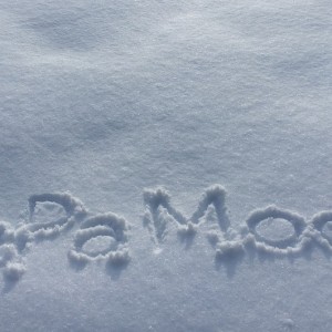 札幌で雪遊びが楽しめる公園やイベント9選!チューブそりが大人気!!