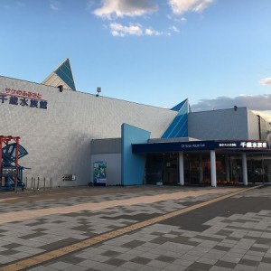 サケのふるさと千歳水族館は割引料金で行こう!見どころはお食事タイム