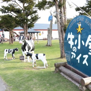 牛小屋のアイスは子連れにおすすめ!と言うか行くべき!いや、神!北海道由仁町