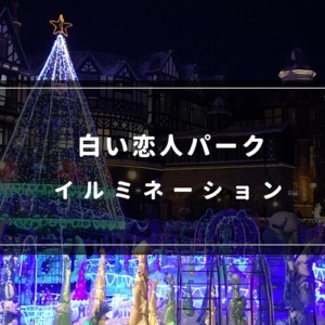 白い恋人パークイルミネーション2018-2019
