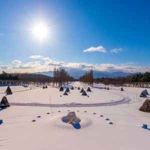 冬は前田森林公園で雪遊び!スノーラフティングやそり遊びを楽しむための注意点を解説するよ